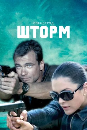 Спецотряд Шторм (2013)