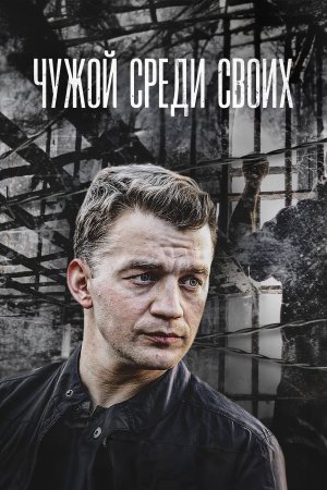 Чужой среди своих (2014)